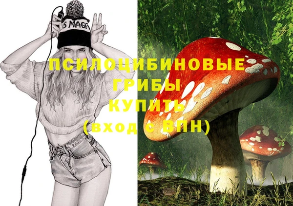 PSILOCYBIN Белоозёрский